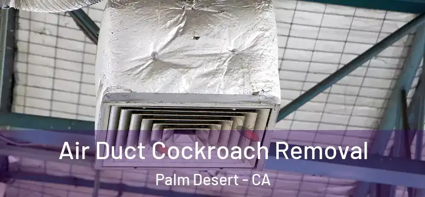  Air Duct Cockroach Removal Palm Desert - CA