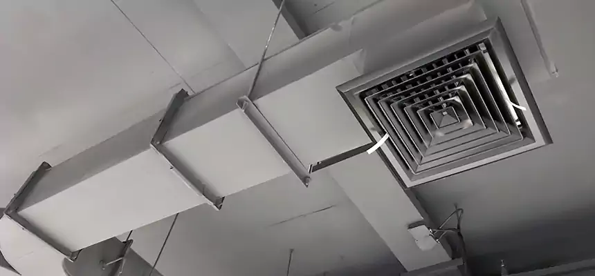 Restorative Allergy Relief Vent Cleaning – Coil, Blower & Housing Detail in Palm Desert