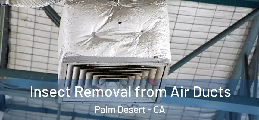  Insect Removal from Air Ducts Palm Desert - CA