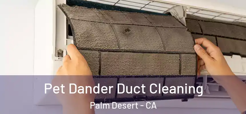  Pet Dander Duct Cleaning Palm Desert - CA