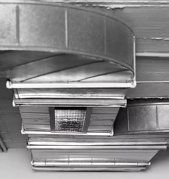 Professional Air Duct Pest Removal in Palm Desert, CA