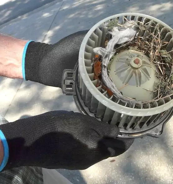 About Air Duct Rat Removal in Palm Desert, CA