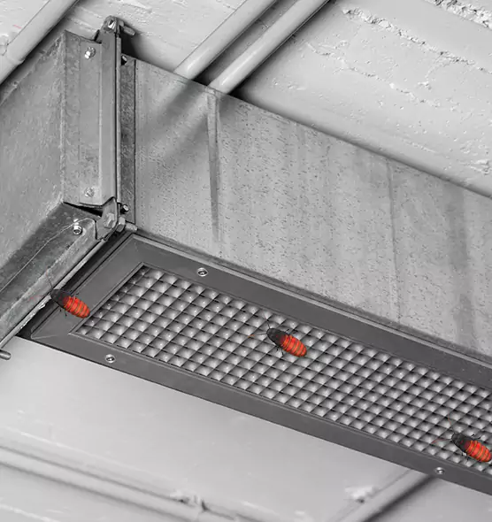 Affordable Insect Removal from Air Ducts in Palm Desert, CA