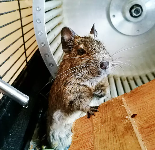 Why Homeowners & Businesses Trust Us Palm Desert, CA