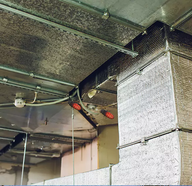 Why Homeowners & Businesses Trust Us Palm Desert, CA?